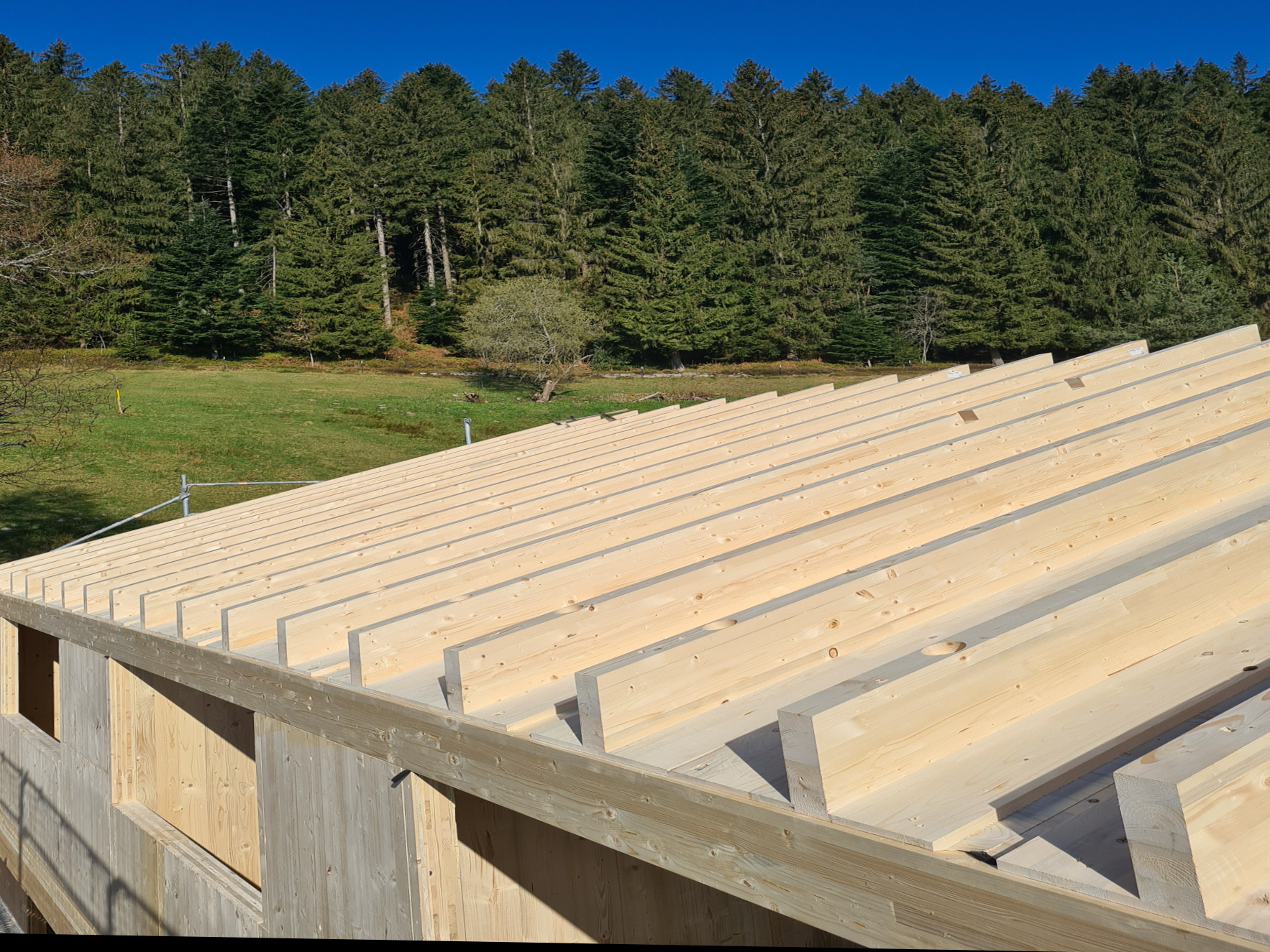 Nachhaltiger Holzbau und moderne Massivholzhäuser von Holzbau Hess